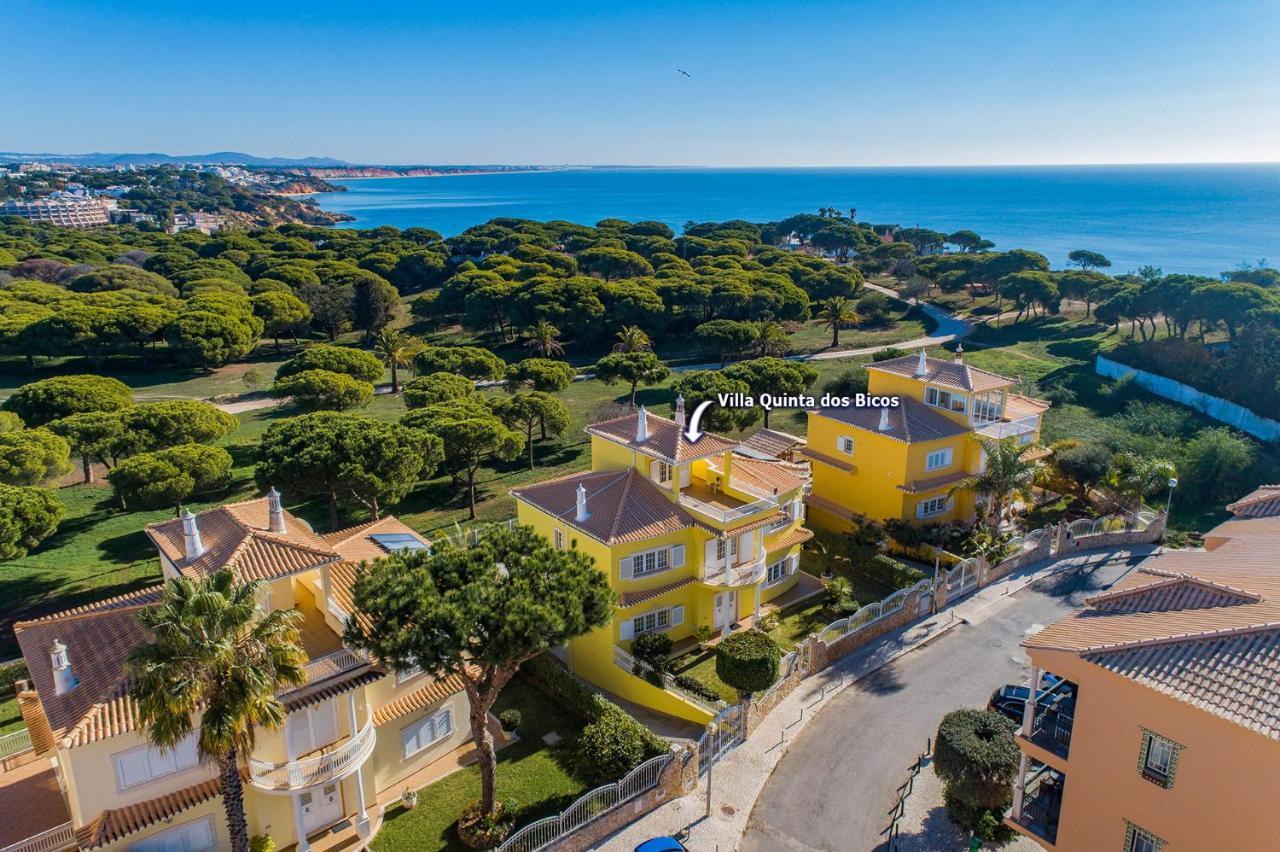 Villa Quinta Dos Bicos By Villa Plus 阿尔布费拉 外观 照片